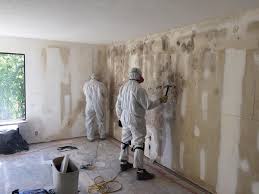 Biohazard Mold Removal in Verona, PA